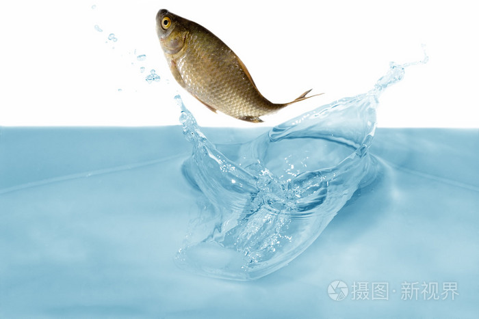 带你玩转明星八卦,欧美一级片毛片免费观看视频,国产国产人免费人成成免视频