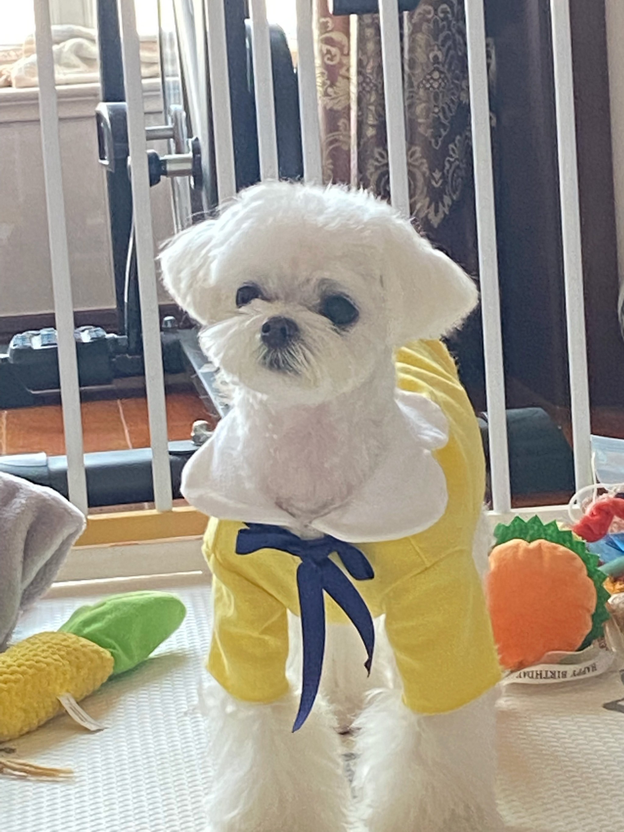 精品久久久久三级高潮免费不卡电影,久久er热这里只有精品免费,亚洲无码视频一区